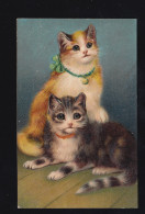 Tiere-AK Junge Katzen-Geschwister, Beschriftet - Cats