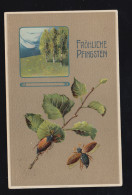 Tiere-AK Pfingsten Maikäfer Mit Zweig Und Birkenwald, OLDENBURG 3.6.1911 - Autres & Non Classés