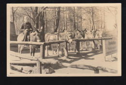 Tiere-AK Eselstation Bei Eisenach/Thüringen, SSt EISENACH WARTBURG 18.7.1955 - Other & Unclassified