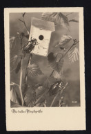 Foto-AK Tiere: Pfingsten - Zwei Maikäfer Mit Insektenhäuschen, 10.5.1940 - Autres & Non Classés