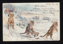 AK Vermenschlichte Tiere: Katzen Im Winter Schlittenfahrt Rodeln CÖLN 23.12.1899 - Katzen