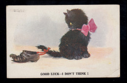 England Tiere-AK Humor: Schwarze Katze Mit Angebundenem Schuh, Gelaufen Um 1920 - Katzen