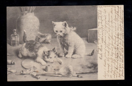 Tiere-AK Spielende Katzen Mit Pinsel Und Farbentupen, ILMENAU 5.12.1905 - Gatos