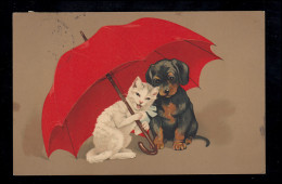 Tiere-AK Hund Und Katze Unter Rotem Regenschirm,  CÖLN 2.8.1913 - Chats