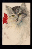 Tiere-AK Katzenportait, NÜRNBERG 5.12.1910 - Katten