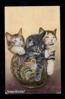 England Tiere-AK Potted Mischief - Katzen-Kinder In Einer Vase, LONDON 28.5.12 - Katten