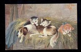 Tiere-AK Schlafender Hund Mit Katzen In Der Scheune, BREGENZ 15.3.1909  - Cats