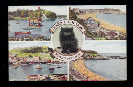 England AK Scarborough: Schwarze Katze Und Vier Landschaften, 29.7.1953 - Gatos