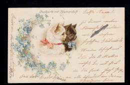 Postkarte Mit Blumenduft Tiere-AK Weiße Katze Und Schwarzer Kater, TITTLING 1902 - Gatos