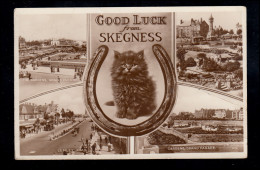 England AK Skegness: Schwarze Katze Und Vier Landschaften, 14.7.1953 - Katzen