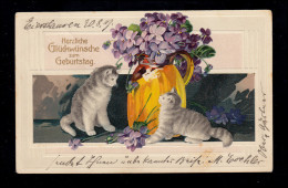 Tiere-AK Geburtstag: Katzen Und Blumen, EIBELSHAUSEN 20.9.1909 - Katzen