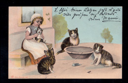 Tiere-AK Katzen Vor Leerem Fressnapf Mausefalle Vogel DORNUM (OSTFRIESLAND) 1903 - Cats