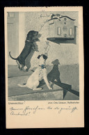 Foto-AK Tiere: Unerreichbar! Staunedende Hunde - Katze Auf Dem Briefkasten, 1938 - Cats
