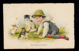 Tiere-AK Spielende Katzen Mit Jungen Auf Der Wiese, BRAUNSCHWEIG 12.8.1926 - Katzen