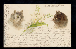 Tiere-AK Zwei Katzen Zwischen Maiglöckchenzweig, BALLENSTEDT 24.7.1900 - Chats