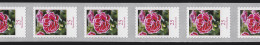 2699 Blumen 25 Cent Sk 11er-Übergang 3/4-stellig 995-1000-1005 ** - Rolstempels