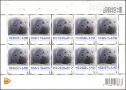 3062 Meine Marke 2013 - Tiere Seehund Gewone Zeehond, Folienblatt ** - Sonstige & Ohne Zuordnung