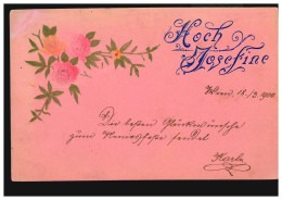 Ansichtskarte Vornamen: Hoch Josefine! Rosenzweig, Nach SCHWECHAT 18.3.1900 - Nomi