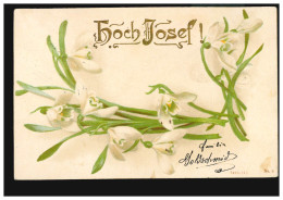 Ansichtskarte Vornamen: Hoch Josef! Schneeglöckchen, WIEN 18.3.1905 - Nombres