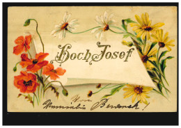 Ansichtskarte Vornamen: Hoch Josef! Blumenzweige, WIEN 14.3.1903 - Nombres