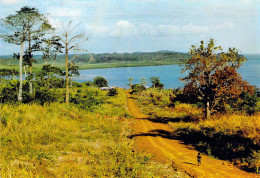 Gabon - Paysage Près D'Owendo - Gabón