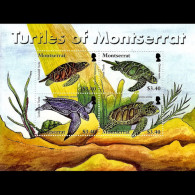 MONTSERRAT 2007 - Scott# 1191 S/S Local Turtles MNH - Montserrat