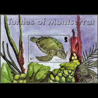 MONTSERRAT 2007 - Scott# 1192 S/S Local Turtle MNH - Montserrat