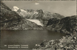 11308243 Grimsel Pass Passhoehe Totenseeli Rhonegletscher Galenstock Grimsel Pas - Andere & Zonder Classificatie