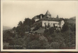 11306545 Blonay Chateau Blonay - Sonstige & Ohne Zuordnung