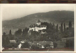 11306544 Blonay Chateau Blonay - Autres & Non Classés