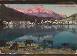 11306419 St Moritz GR St Moritzersee Kuehe Piz Della Margna Graubuenden St. Mori - Sonstige & Ohne Zuordnung