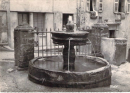 12 - Rieupeyroux - Ancienne Fontaine - Andere & Zonder Classificatie