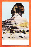 31634 / ⭐ (•◡•) Egypt ◉ The SPHINX  1905s ◉ Editeur LICHTENSTERN & HARARI CAIRO N° 21 Egypte - Sphinx