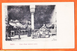 31623 / (•◡•) ♥️ CAIRO Egypte Cour D'une Maison Arabe  2 Dromadaires 1900s ◉ Carlo MIELI Alexandrie LE CAIRE Egypt - Kairo