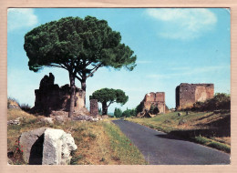 31541 / ROMA Rome Appia Antica Voie Appienne  20.11.1975 ¤ OTO N° 28427 - Otros & Sin Clasificación