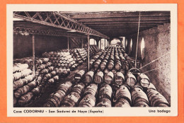 31815 / SAN SADURNI De NOYA Cataluña Casa CODORNIU Una BODEGA De Las Cavas 1930s Cppub España - Barcelona