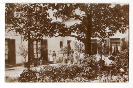 31881 / Peu Commun Carte-Photo DARDILLY ( à Confirmer)  Jardin Interieur Maison Privée 1910s -Société LUMIERE - Andere & Zonder Classificatie