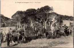 83 PUGET Sur ARGENS - En Forêt - Other & Unclassified