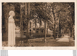 D31  LUCHON  Statue Rostand Et Allée Des Bains - Luchon