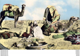 ALGERIE  SCENES ET TYPES  Campement De Nomades - Escenas & Tipos