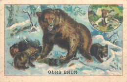 A LA MENAGERE. CAMBRAI. CHROMO CHICOREE. L'OURS BRUN. - Tea & Coffee Manufacturers