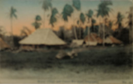 Singapore // Carte Photo RPPC // Malay Village And Cocoa Nut Trees (color) 19?? - Singapore