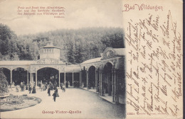 Deutsches Reich PPC Bad Wildungen Georg-Victor-Quelle. Römmler & Jonas. BAD WILDUNGEN 1899 BUDENHEIM (2 Scans) - Bad Wildungen