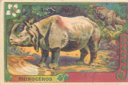 A LA MENAGERE. CAMBRAI. CHROMO CHICOREE. RHINOCEROS. - Thé & Café