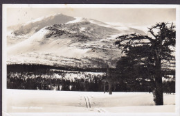 Sweden PPC Storsnasen Jämtland STORSNASEN 1956 To HELLERUP Denmark Echte Real Photo (2 Scans) - Svezia