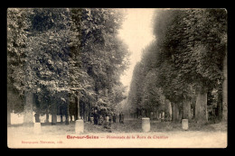 10 - BAR-SUR-SEINE - PROMENADE DE LA PORTE DE CHATILLON - Bar-sur-Seine