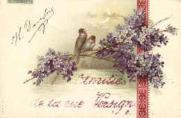 Fantaisie Oiseaux Violettes Amitiès De La Rue Versigny Pailletée RV - District 18