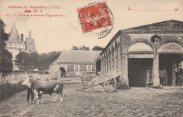 REF.AC . CPA . 76 . CHATEAU DE MESNIERES . UN COIN DE LA SECTION D'AGRICULTURE - Sonstige & Ohne Zuordnung