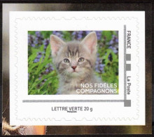 FRANCE 2024 - TAM Chat - Issu Du Collector Nos Fidèles Compagnons - Katten