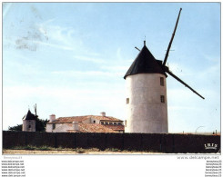 CPSM (Réf :I610) ILE DE NOIRMOUTIER (VENDÉE 85) 56. Les Moulins De La Guerinière - Ile De Noirmoutier
